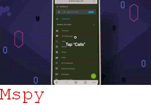 Software Mspy